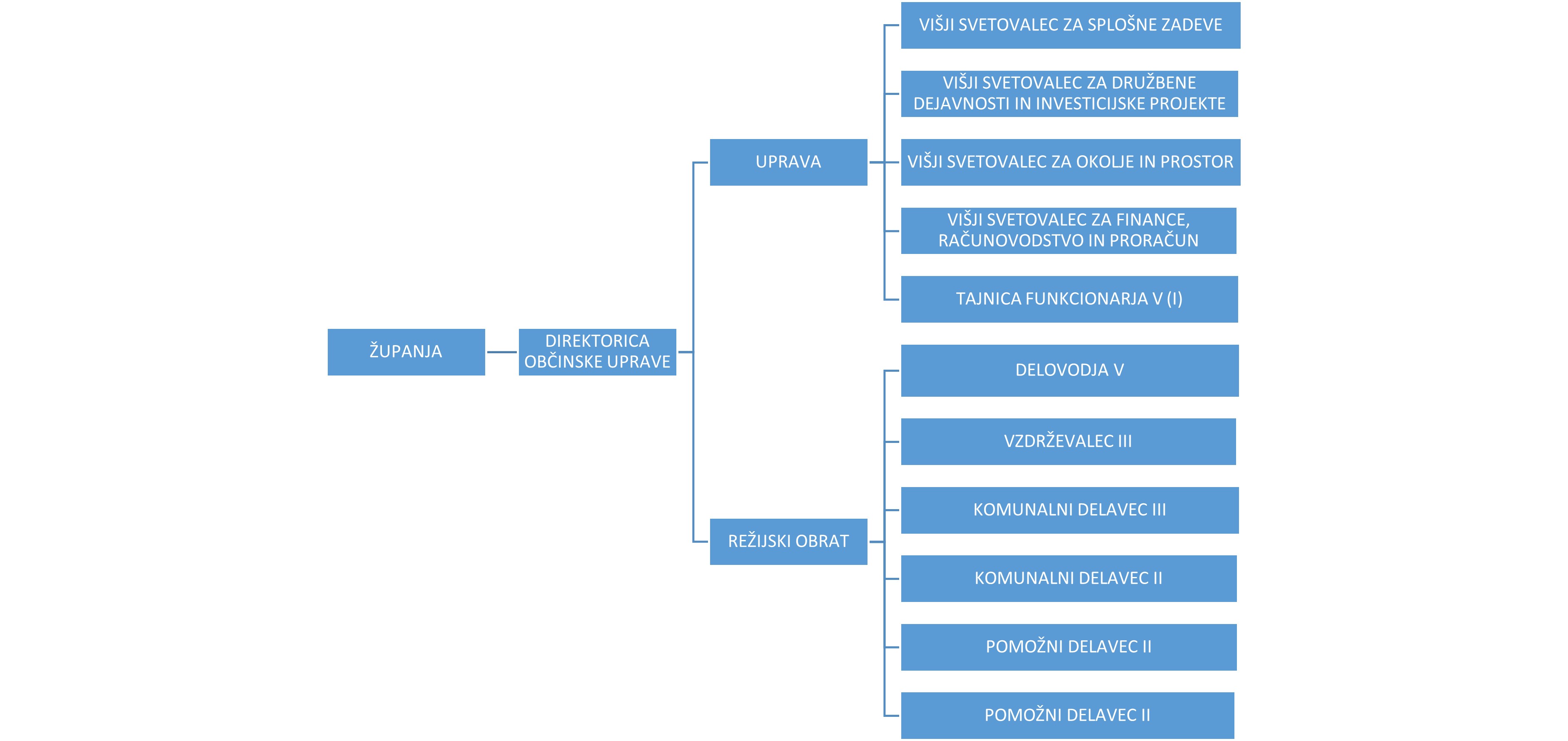 organigram 01062024